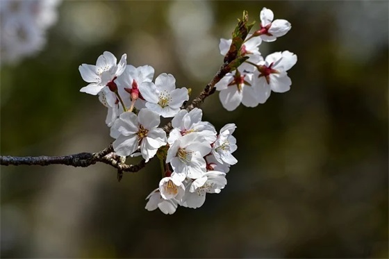 新年祝福语创意幽默53句