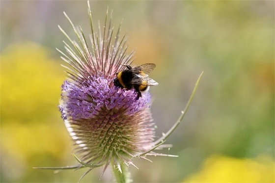 建团100周年祝福语50字 建团100周年祝福语简短