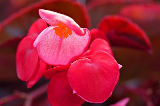 公务员考试上岸祝福语句