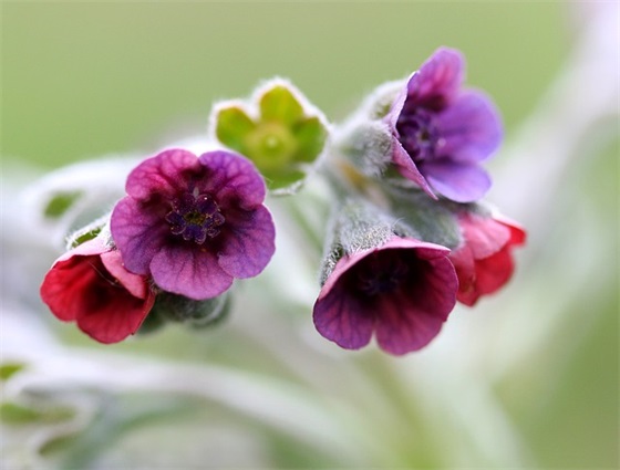 前任生日快乐祝福语57句