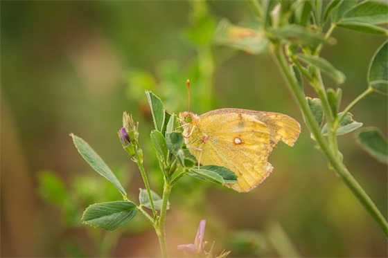 结婚祝福语怎么写 结婚贺卡怎么写