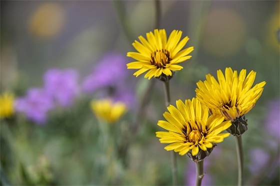 生日祝福语幽默50句