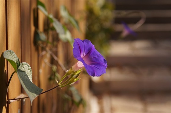 在过年里发的祝福语53句