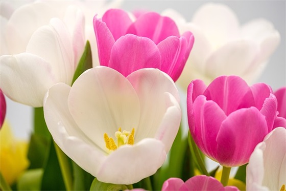 新年班主任祝福语2025年55句