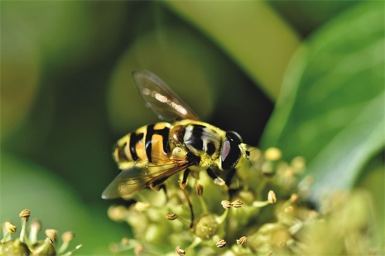 高考寄语祝福给师弟