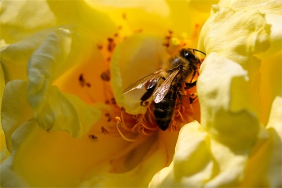 祝孩子高考顺利的祝福语