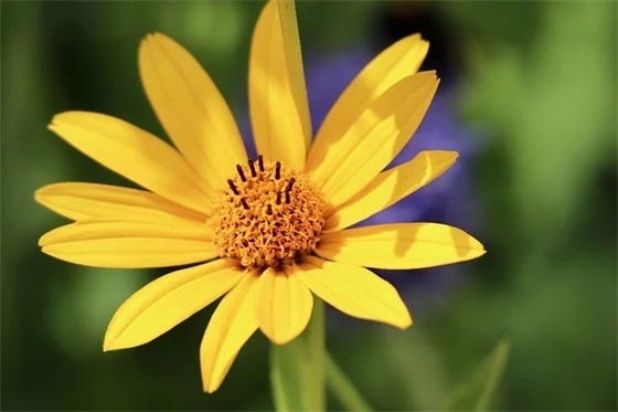 高考祝福语成语