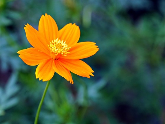 2025五一假期节日祝福语文案句子