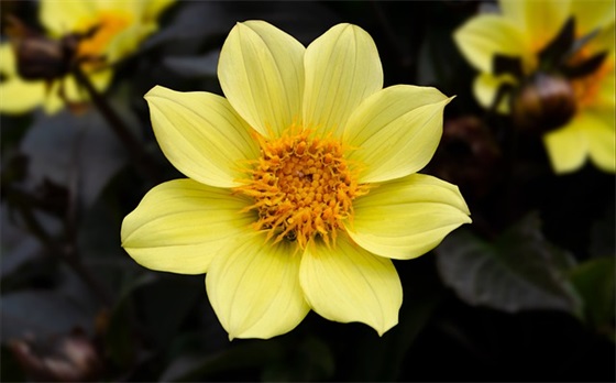 给爱人送礼物祝福语67句