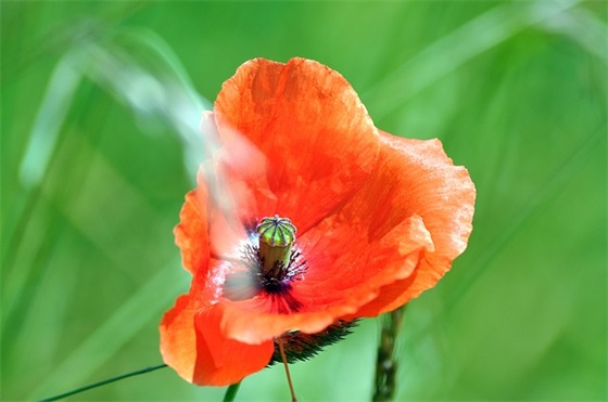 2025年6月6日祝福语54句