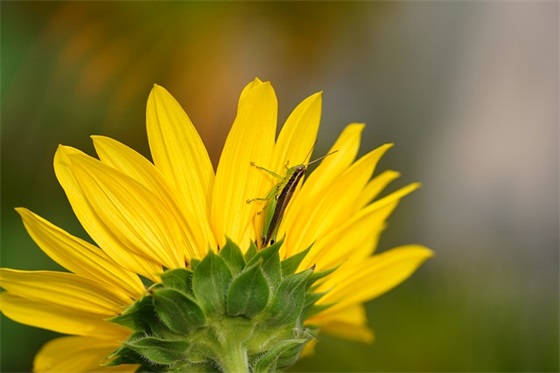 关于伤感的优美句子83句