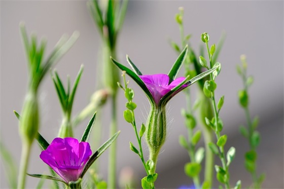 现实又很扎心的悲痛的句子(扎心绝望的悲痛的句子)