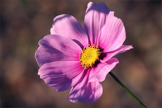 专题培训讲座范例6篇