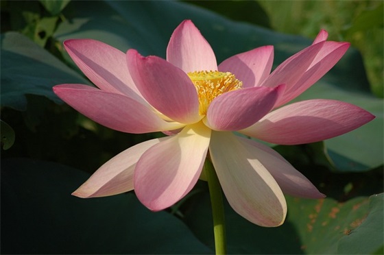 研修随笔范例6篇