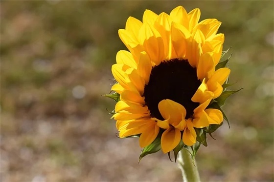 廉洁自律证明范例6篇