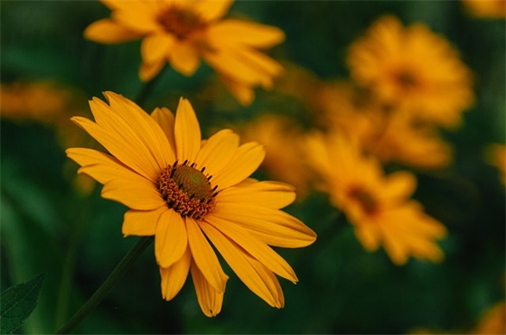 务实创新范例6篇