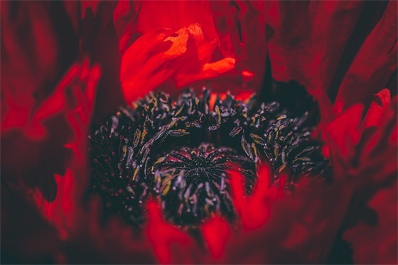 还是错过的爱情范例6篇