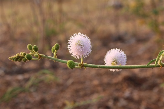 我的读书经历范例6篇