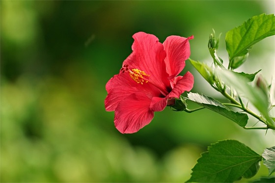 六一儿童节的故事范例6篇