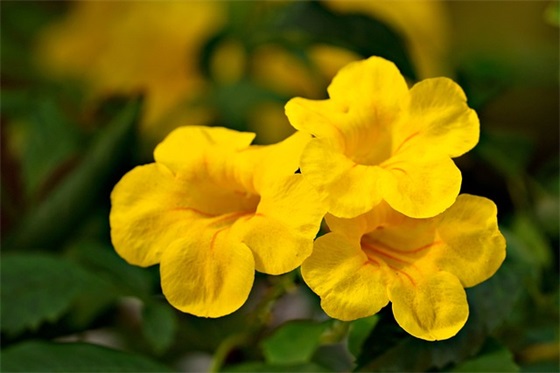 春耕备耕情况汇报范例6篇