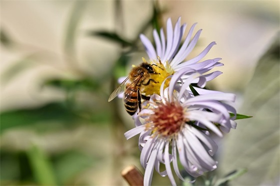 小学心理健康教育论文范例6篇
