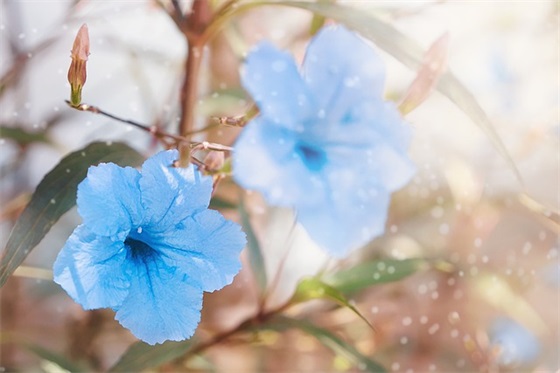 洛阳诗韵范例6篇