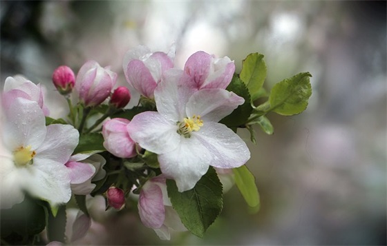 特殊教育德育论文范例6篇