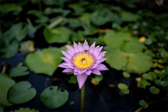 又是一年清明时范例6篇