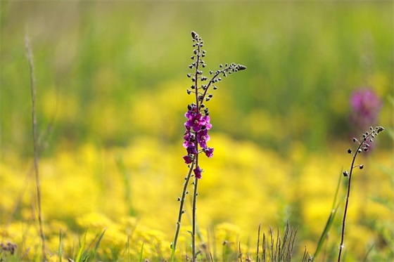 报告文学范例6篇