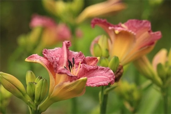 动物与人类的关系范例6篇