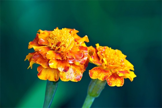 活着就为改变世界范例6篇