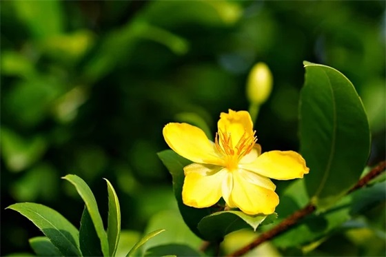 王维的送别诗范例6篇