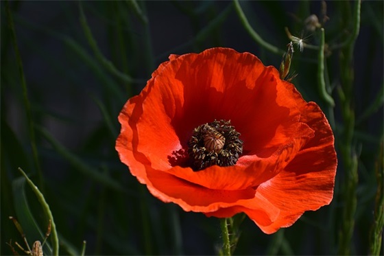 创作背景范例6篇