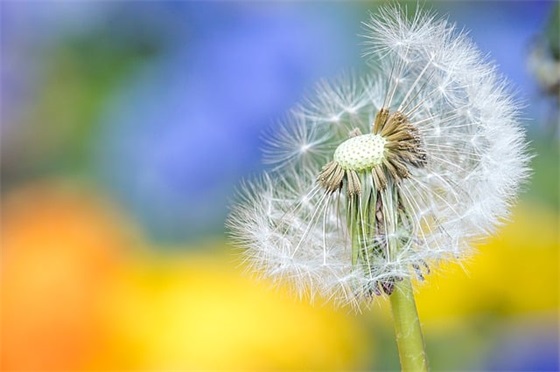 绿色中国梦范例6篇