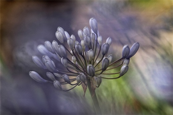 一夜的工作范例6篇