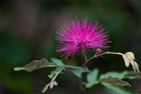 作文天下范例6篇