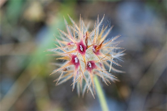 爱心小故事范例6篇