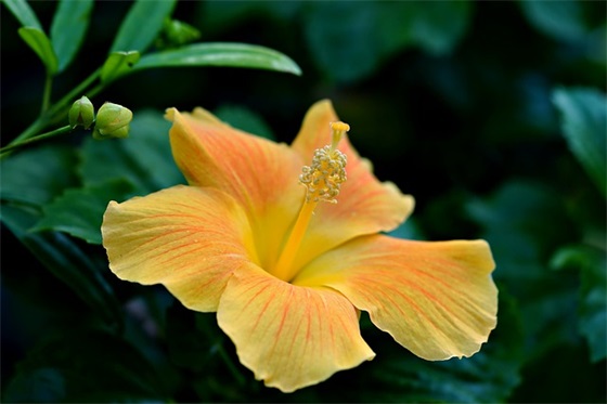 巧克力味的暑假范例6篇