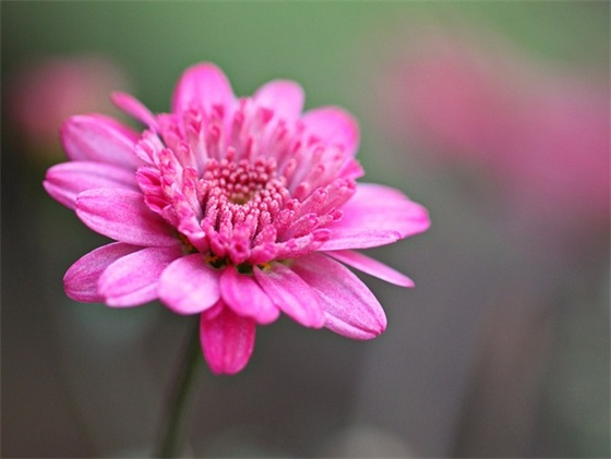 护理毕业论文格式范例6篇