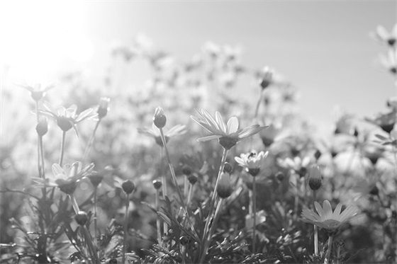 我的怪癖范例6篇