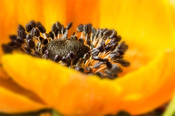 打屁股作文范例6篇