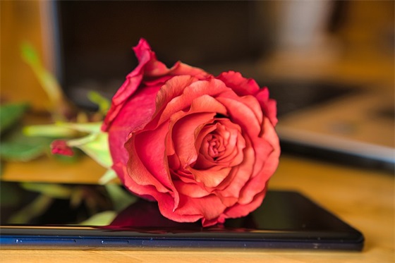 一厢情愿的不舍范例6篇