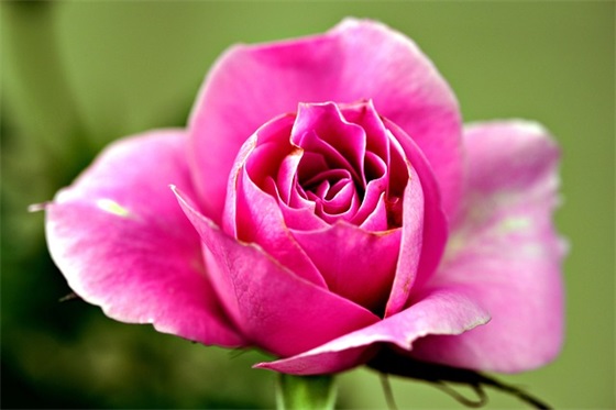 影评作文范例6篇