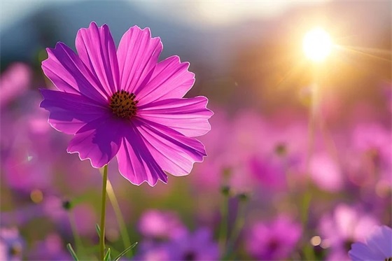 优秀共青团员申报材料范例6篇