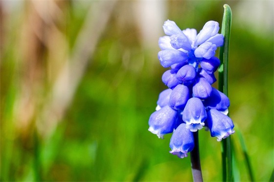 五星漂流范例6篇