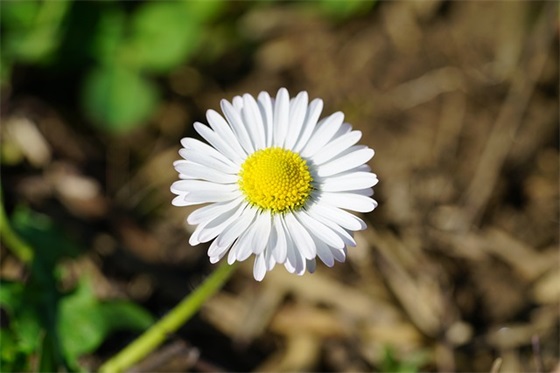 说好了不分开范例6篇