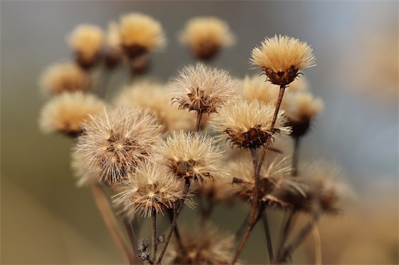 暖暖的微笑范例6篇