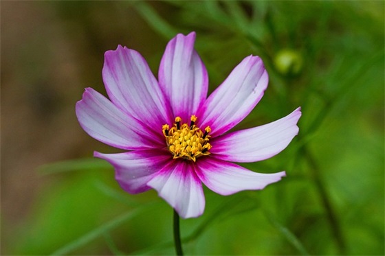 老师你好吗范例6篇