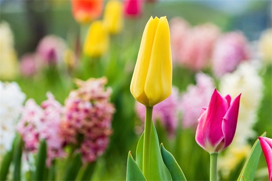 童真岁月范例6篇