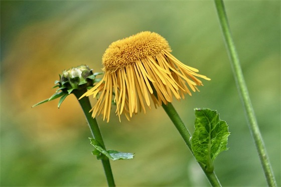 写老师的美句子 写老师幽默的句子
